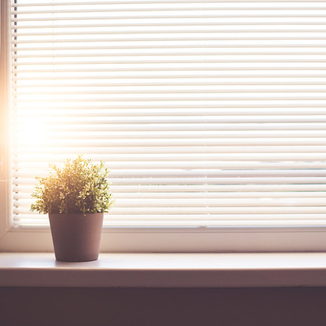 Blinds to keep home cool