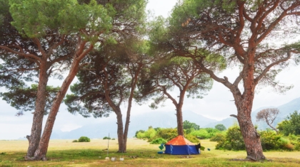 A camp under the shades of tree shows you how to stay cool while camping