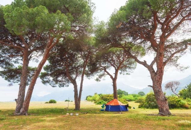 A camp under the shades of tree shows you how to stay cool while camping